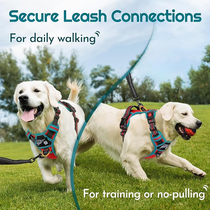 Eagloo Dog Harness for Large Dogs, Easy Wearing with 3 Buckles, Adjustable No Pull Pet Harness with 2 Rings for Walking, No Chock Reflective Soft Padded Vest with Control Handle, Red & Teal, XL