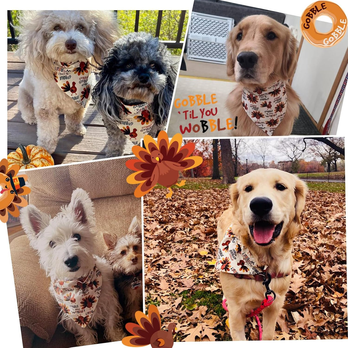 Fall Dog Bandana Artistic Sketch Maple Leaf Golden Orange - Gobble Turkey / Small - image 4