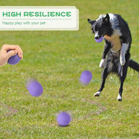 Shappy 24 Pieces Rubber Dog Tennis Balls for Dog Colorful Catching Pet Balls for Fetch Training 2.4 Inch Interactive Bounce and Floatable Toy for Park Beach