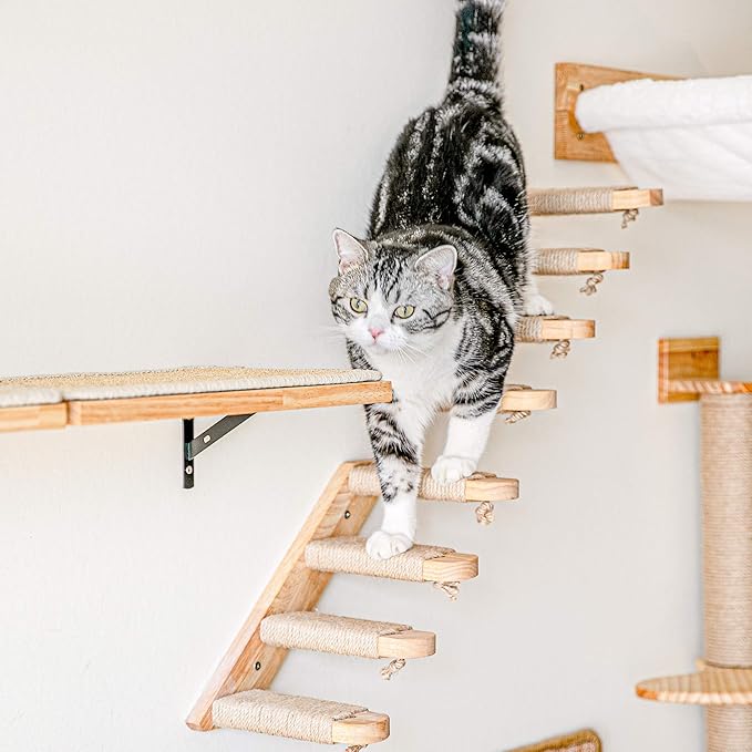 FUKUMARU Cat Wall Furniture, 3 Pack Cats Walls Shelves Set, Solid Rubber Wood Kitten Shelf for Sleeping, Playing, Climbing and Lounging