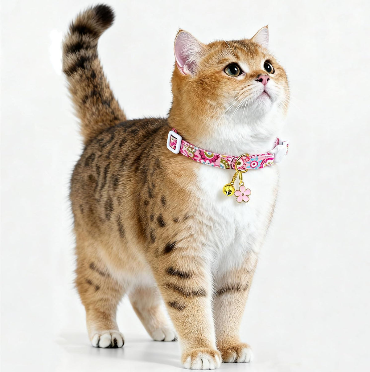 2 Pack Cotton Breakaway Cat Collars Set with Bell and Flower Pendant - flower+geometry - image 4