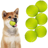 All for Paws Interactive Hyper Fetch Super Bounce Tennis Balls Dog Toy - Ball*6(2 inch)