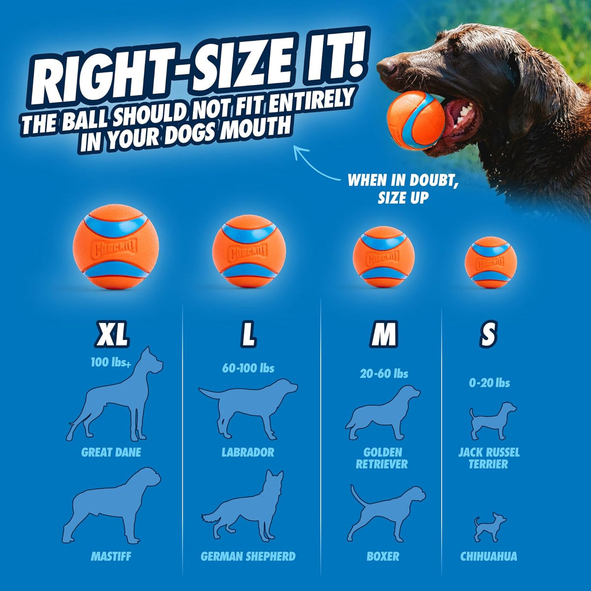 Chuckit! Ultra and Rugged Dog Balls, High-Bounce Fetch, Set of 3 - Medium (2.5") / Fetch Pack 2 - image 3