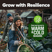 HOME GROWN 𝗨𝗦𝗔 𝗣𝗥𝗘𝗠𝗜𝗨𝗠 25 Heirloom Vegetable Seeds 12,000+ 𝗡𝗢𝗡-𝗚𝗠𝗢 Survival Garden Seeds Kit, High Germination Tomatoes Carrots Beans Kale Peppers, Giftable Indoor Outdoor Planting Set