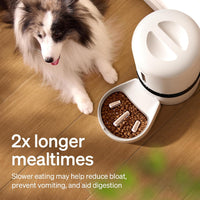 PETLIBRO Automatic Cat Feeder - Silver / Slow Feeder Bowl Insert - image 3