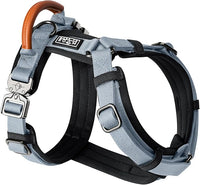 MADE TO ROAM Premium Explorer Harness - Y-Shaped Dog Harness with Adjustable Durable Nylon, Soft Padding, Metal Buckles and Leather Handle for Small, Medium, Large Dogs (Virginia Mountains, Size 1)