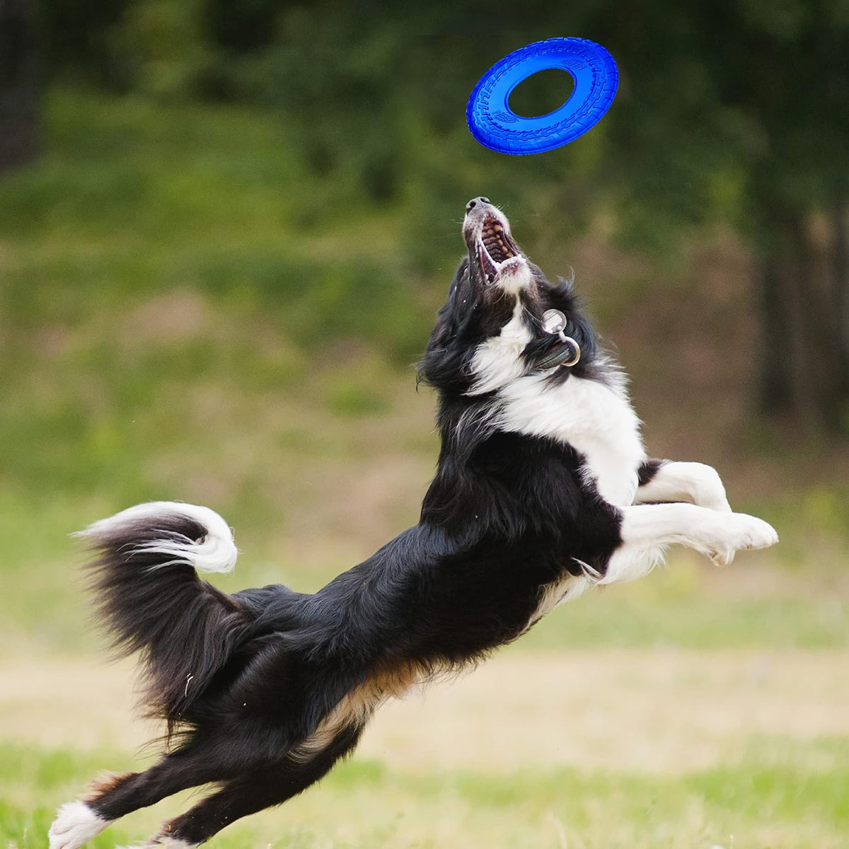 Nerf Dog 10in Enhanced Translucent TPR Tire Flyer, Blue - image 2