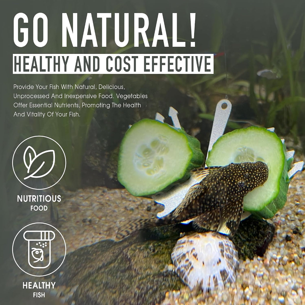 Aquarium Veggie Feeder Cucumber Holder for Pleco & Snails – Essentials for Fish - image 4
