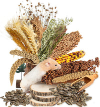 Natural Ear of Grain Flower&Herb Bedding Mate Habitat Decor - Miscellaneous grain crops