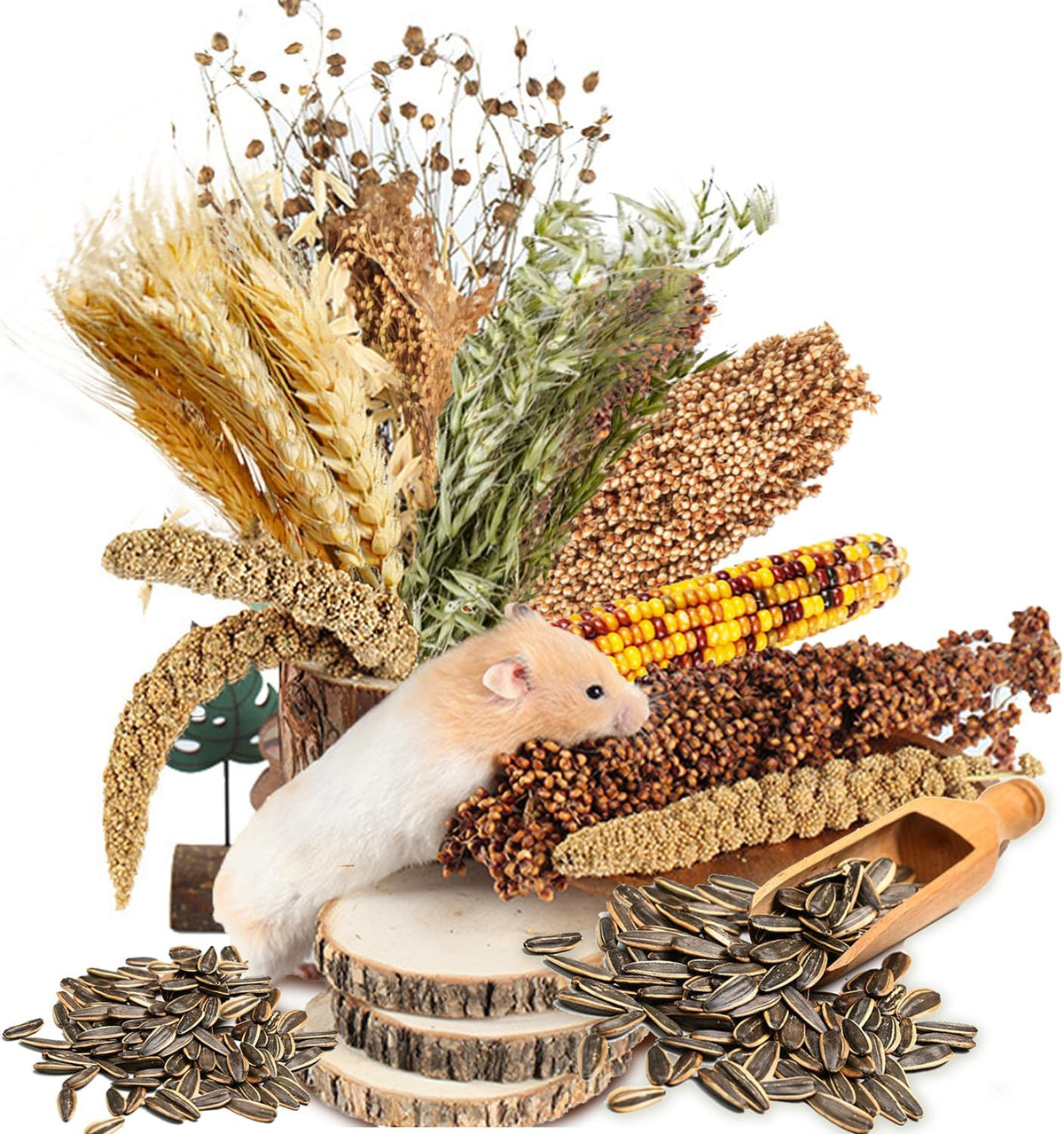 Natural Ear of Grain Flower&Herb Bedding Mate Habitat Decor - Miscellaneous grain crops