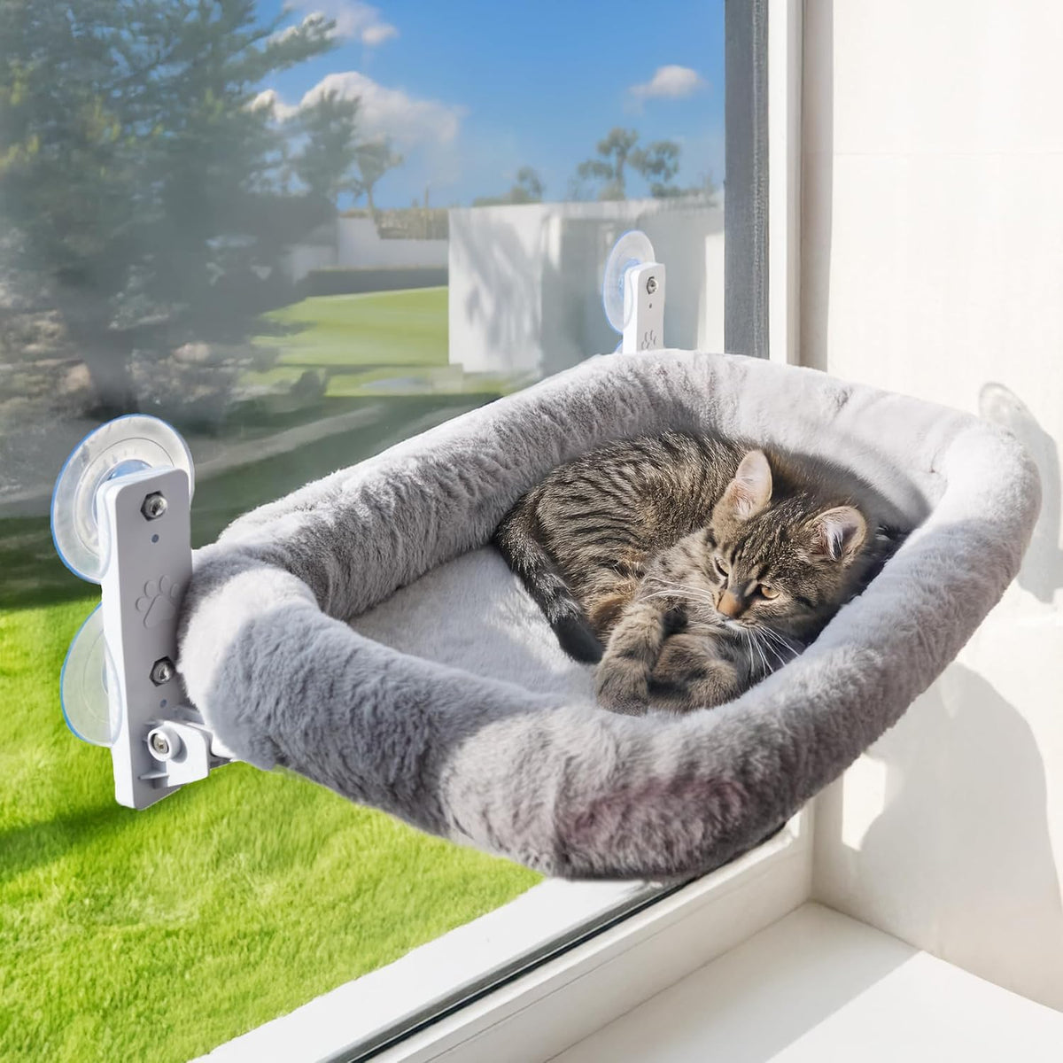 Cat Window Perch with Washable Cushion & Strong Suction
