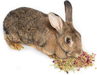 Herbal Calming Forage (2 Ounces): Premium Rabbit Food, Hay for Guinea Pigs Food, Chinchilla Food, Hamster Treat Made with Timothy Hay & Organic Herbs (2 Ounces)