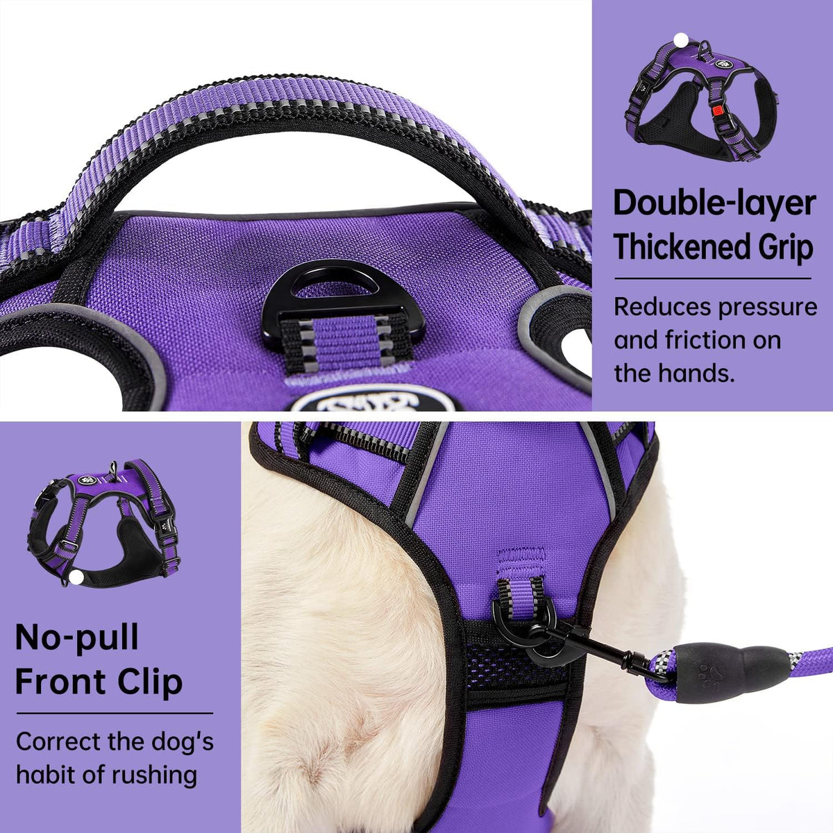 IVY&LANE No Pull Dog Harness for Medium Dogs - Purple / Medium - image 2