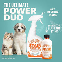 Angry Orange Pet Odor Eliminator Concentrate for Cat Urine and Smells - Fresh Scent - 8 oz (Makes 128 oz of Cleaner)