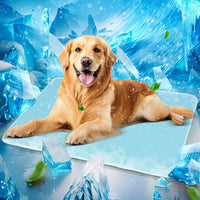 Mora Pets Dog Cooling Mat Instant Pet Cooling Pad Bed for Large Dogs - Blue / 36-Inch (Medium)