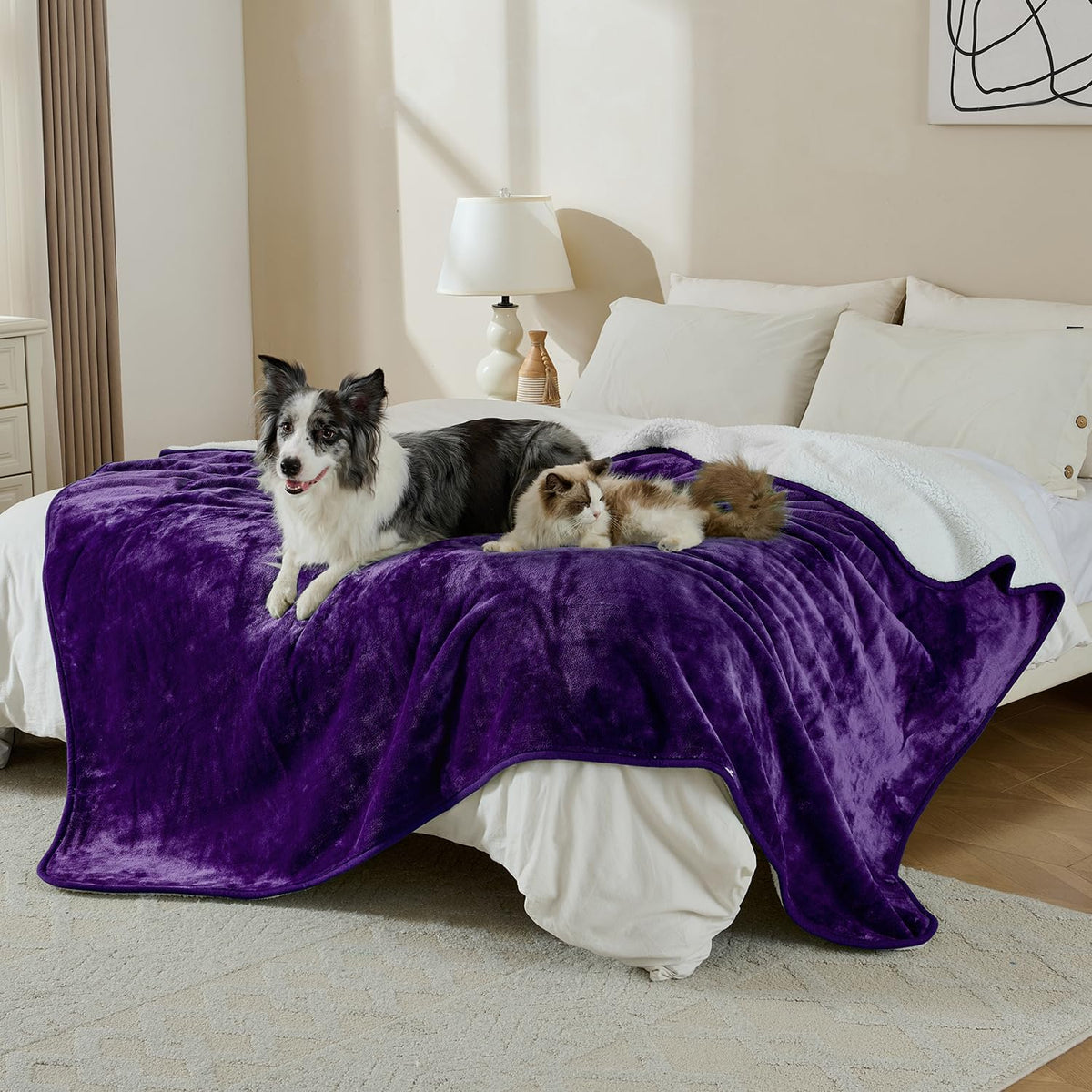 Soft Waterproof Blanket for Bed Couch Sofa - 60x80 inches / Dark Purple - image 4