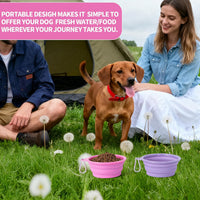 SLSON Collapsible Dog Bowl Silicone - Macaron Rose and Violet / Small - image 2