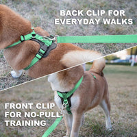 Plutus Pet No Pull Dog Harness with Leather Accents - M / Teal - image 3