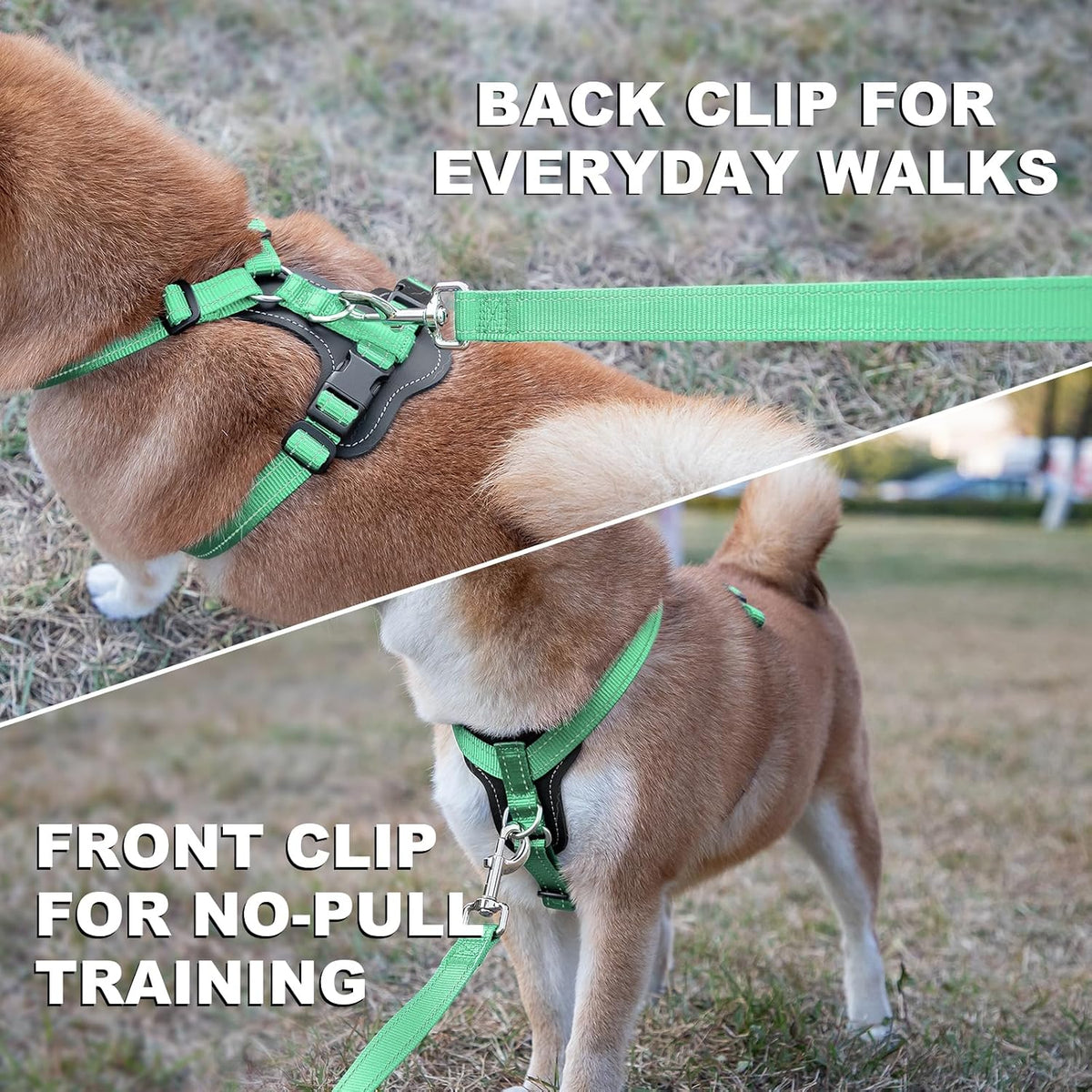 Plutus Pet No Pull Dog Harness with Leather Accents - M / Teal - image 3