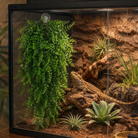 HERCOCCI 2 Pack Reptile Plants - Green 5 Pack - image 4