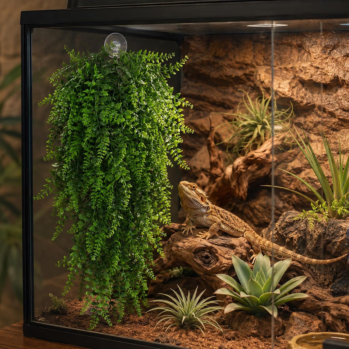 HERCOCCI 2 Pack Reptile Plants - Green 5 Pack - image 4
