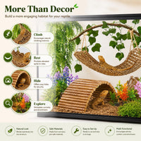 Bearded Dragon Tank Accessories - 9 Piece - image 4