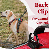 rabbitgoo Dog Harness for Large - Red / X-large - image 2