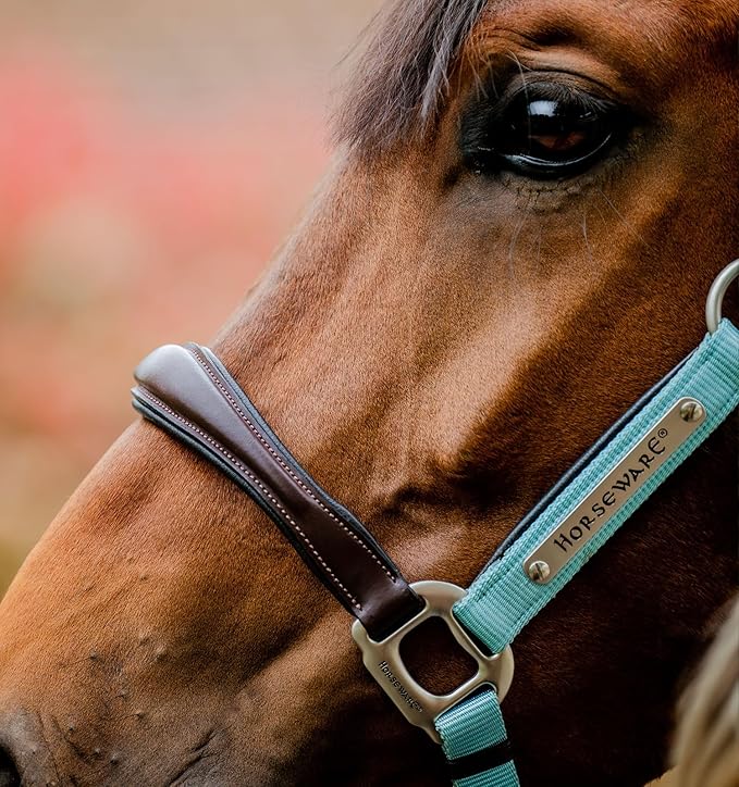 Horseware® Signature Competition Halter
