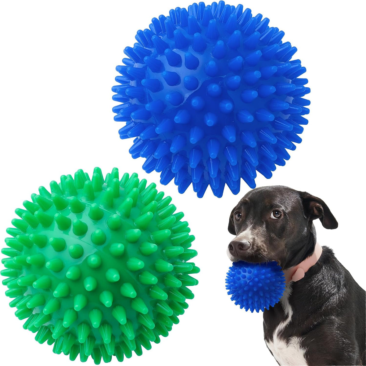 Squeaky Balls for Pet Small Puppy - XL Large Set of 2 / Multi
