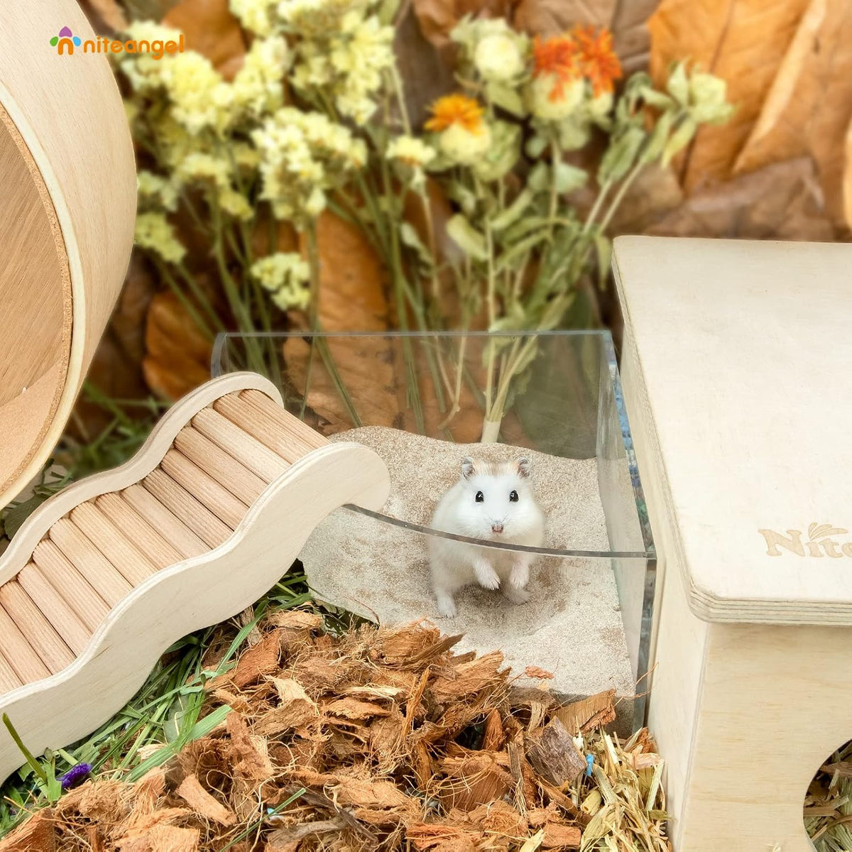 Niteangel Hamster Desert Bath Sand: 2.5lb/40oz No-Dust Bath & Easy - 6LB/96oz / Desert Sand & Zeolite Particles - image 3