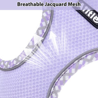 Breathable Dog Harness Small Sized and Leash Set - Purple / XXXS(Chest: 8.5 - 10") - image 3