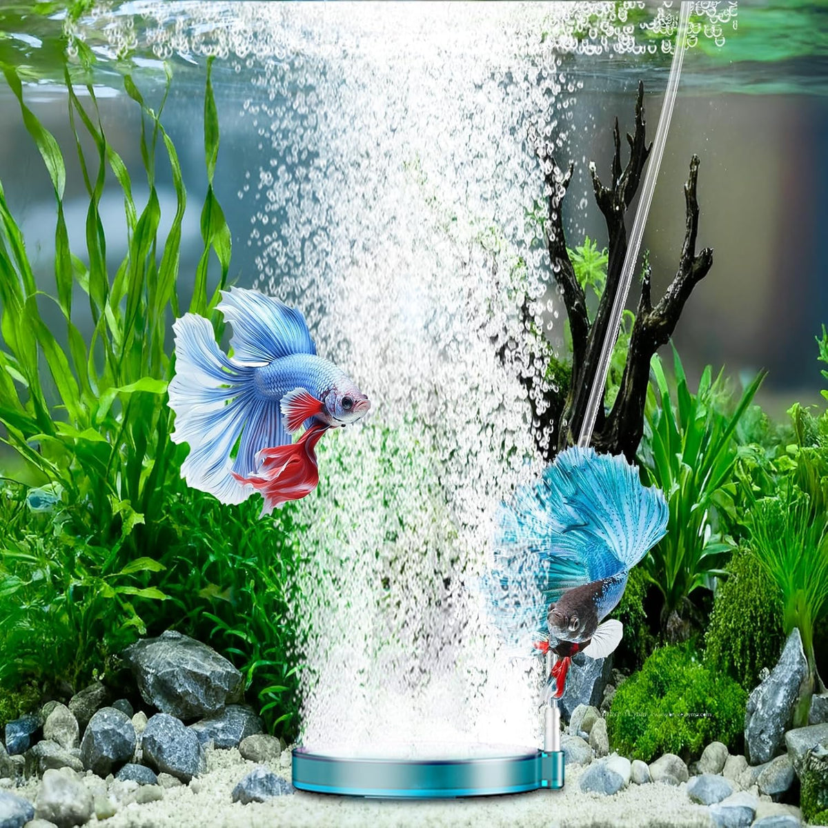 hygger Aquarium Air Stone 2 Inch, Fish Tank Bubbler Stone - 4 Inch - image 3