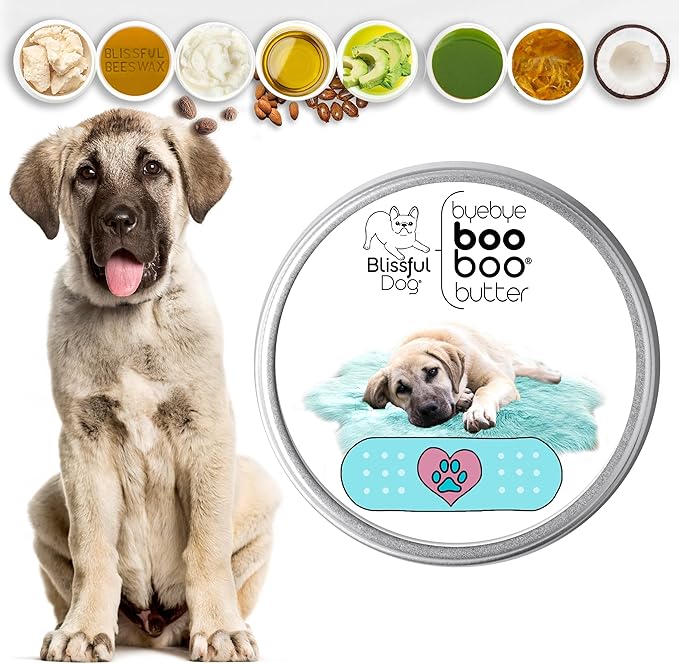 The Blissful Dog Anatolian Shepherd Boo Boo Butter, 8 Ounce