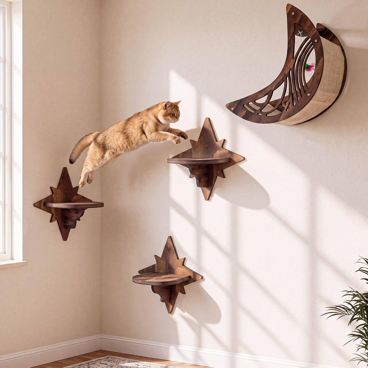 Moon & Star Cat Wall Shelves - Rustic / M - image 3