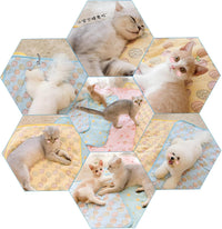 NACOCO Summer Pet Cooling Mat - L: 27.5'' x 38.5'' / Blue Egg - image 4