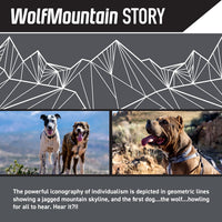 Wolfgang Heavy Duty, Adjustable Dog Collar with Quick Release Nylon Buckle for Walking & Training - Small (5/8 Inch x 8-12 Inch) / WolfMountain Print - image 2