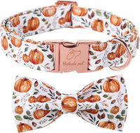 Green Dog Collar with Bow Tie, Christmas Bowtie Dog Collar M – Essentials for Dogs - XL / B-White Pumpkin