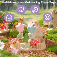 mini&moe Hamster Chew Toys for Teeth - Guinea Pig Chews Enrichment Toys Natural Edible Rabbit Chew Toy for Bunny, Rat, Chinchilla, Gerbils and Others Small Animal