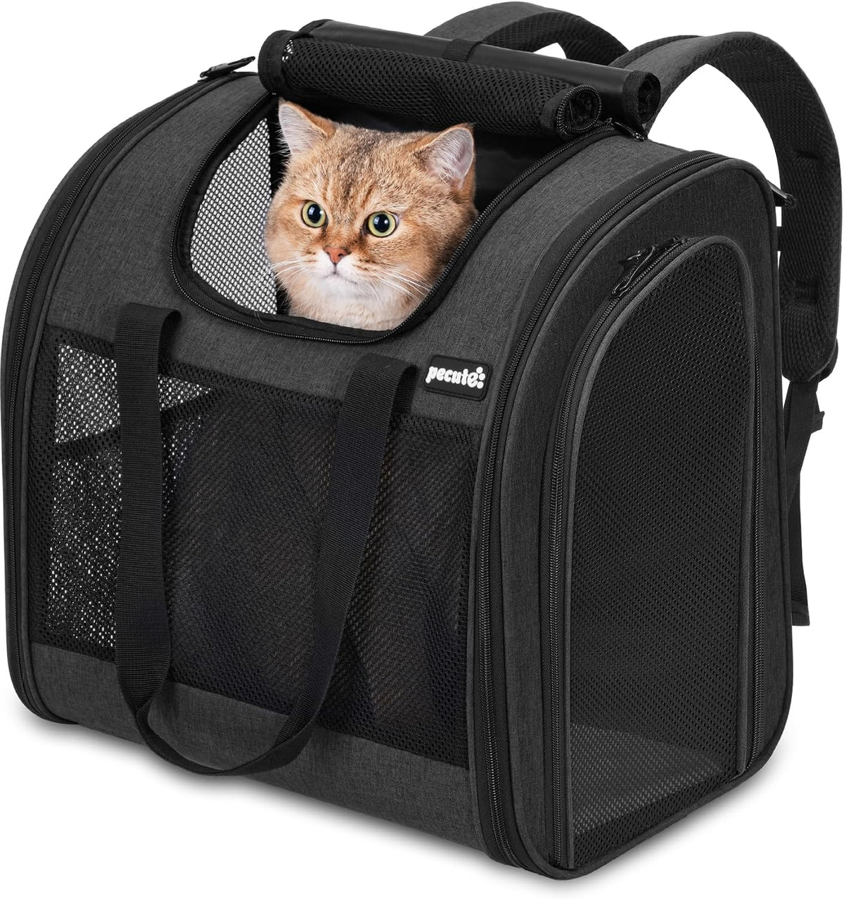 Pecute Cat Backpack with Widened Interior Space - Dark Gray