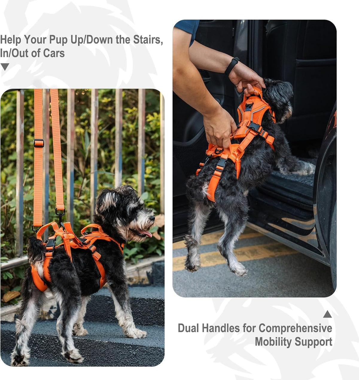 OneTigris Dog Lift Harness for Small Dogs XS - X-Small / Orange - image 2