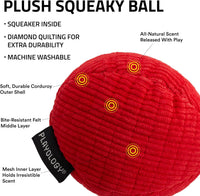 Playology Durable Plush Bone Toy, Squeaky Bone, Jumbo - Medium Ball / Beef - image 2