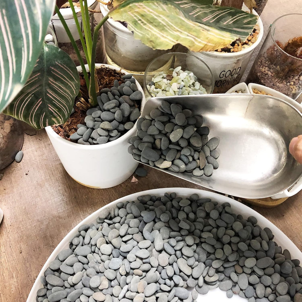 CJGQ Decorative River Rocks Pebbles for Succulents - 7lb / Black-Medium - image 2