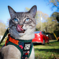 Travel Cat Harness and Leash Set - Medium / Hawaiian - image 2