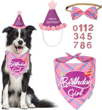 Dog Birthday Hat Bandana Set, Blue Plaid Boy Dog Bandana - Large / Pink Violet Girl