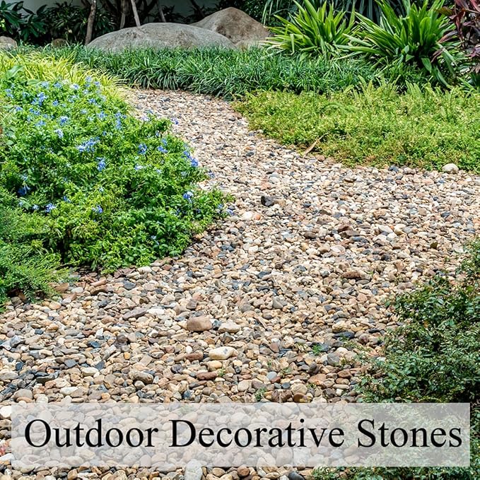 2lbs Aquarium Rocks, 2/5 Inch Pea Gravel for Indoor Plants, Decorative River Rocks for Fish Tank Succulent Vase Plant Soil Cover and Outdoor Landscaping