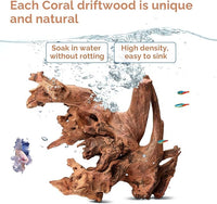 Natural Driftwood for Aquarium 12"-16" Large Aquarium Coral Wood Decor | Single Piece for Fish Tank Landscaping, Reptile Terrarium Climbing Branch, Freshwater Aquatic Wood Aquascaping