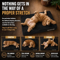 The Dog’s Bed Orthopedic Memory Foam Dog Bed - Black Plush / Medium Beds (4" deep) - image 3