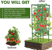 6 Pack Tomato Cages, 41.7" H Square Tomato Plant Stakes Support Cages Trellis for Garden Climbing Vegetables Flowers Fruits,Extra Bold