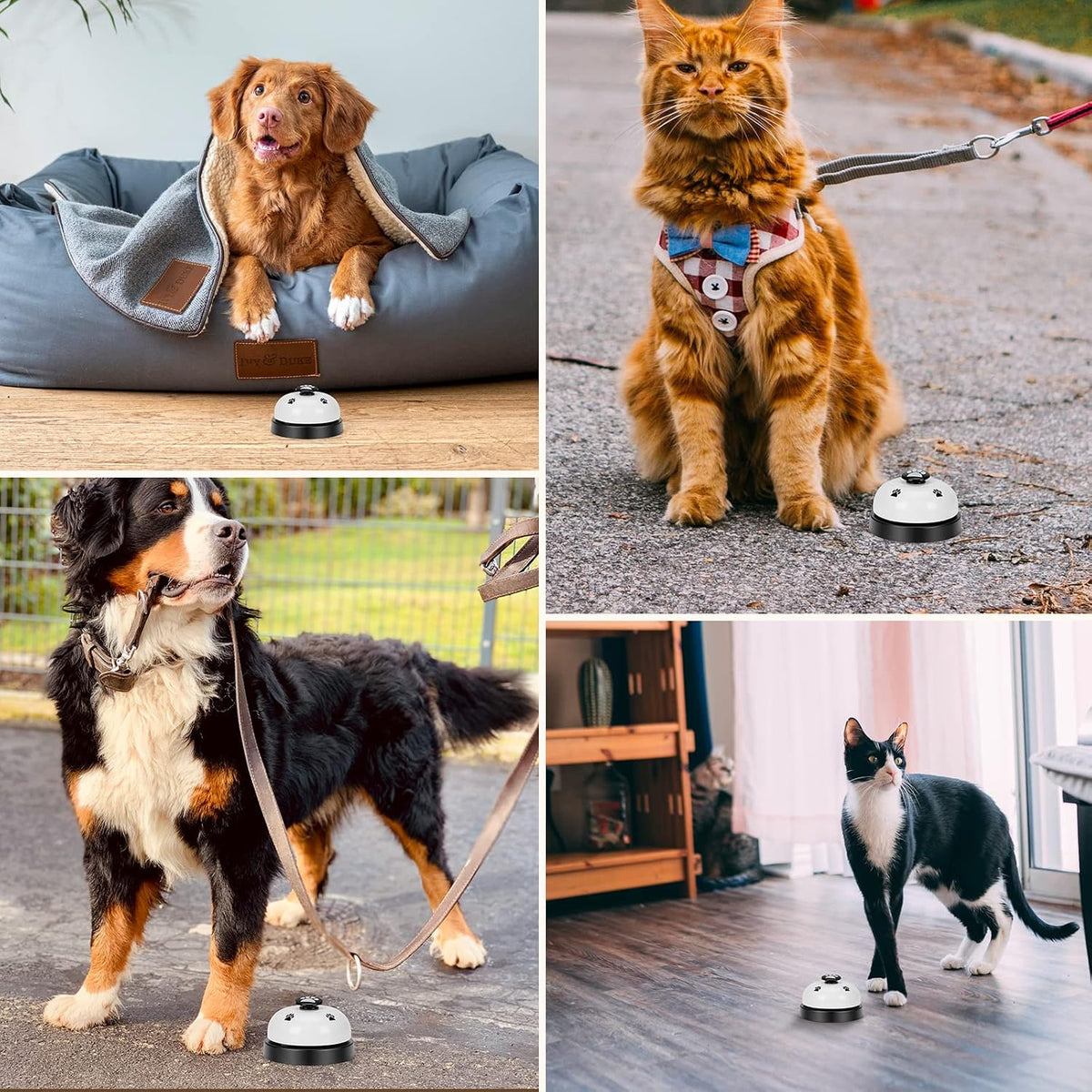 JEXCULL Pet Training Bells - Small (Pack of 2) - image 2