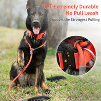 4 ft braided nylon slip rope dog training leash with padded handle - view 2